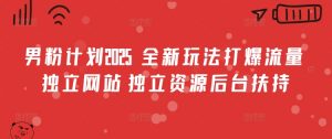 男粉计划2025  全新玩法打爆流量 独立网站 独立资源后台扶持【揭秘】-E网资源