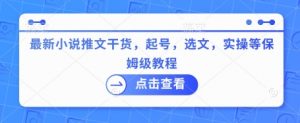 最新小说推文干货，起号，选文，实操等保姆级教程-E网资源