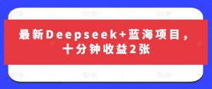 最新Deepseek+蓝海项目，十分钟收益2张-E网资源