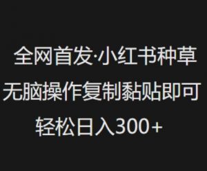 全网首发，小红书种草无脑操作，复制黏贴即可，轻松日入3张-E网资源