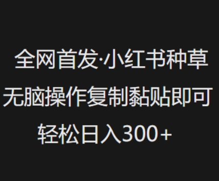 全网首发，小红书种草无脑操作，复制黏贴即可，轻松日入3张-E网资源