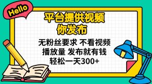 平台提供视频 你发布 无粉丝要求 不看视频播放量 发布就有钱 轻松一天300+-E网资源