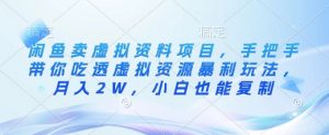 闲鱼卖虚拟资料项目，手把手带你吃透虚拟资源暴利玩法，月入2W，小白也能复制-E网资源