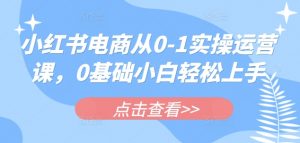 小红书电商从0-1实操运营课,0基础小白轻松上手-E网资源