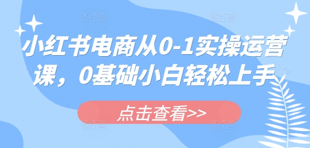 小红书电商从0-1实操运营课,0基础小白轻松上手-E网资源