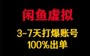闲鱼虚拟详解，3-7天打爆账号，100%出单-E网资源