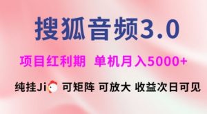 搜狐音频挂ji3.0.可矩阵可放大，独家技术，稳定月入5000+【揭秘】-E网资源
