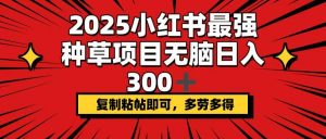 2025小红书最强种草项目，无脑日入300+，复制粘帖即可，多劳多得-E网资源