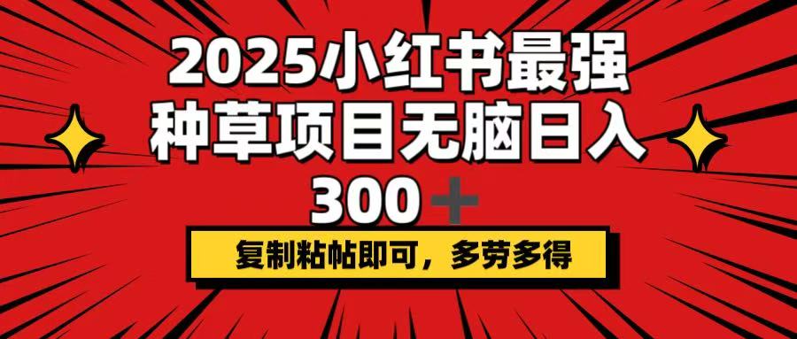 2025小红书最强种草项目，无脑日入300+，复制粘帖即可，多劳多得-E网资源
