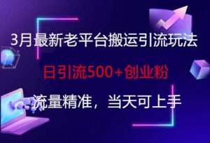 3月最新老平台搬运引流玩法，日引流500+创业粉，流量精准，当天可上手-E网资源