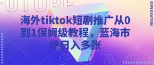 海外tiktok短剧推广从0到1保姆级教程，蓝海市场日入多张-E网资源