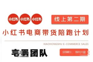 小红书电商带货课2期，月利润20个的小红书电商的有货源，无货源，虚拟产品，付费投流等整套玩法-E网资源