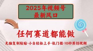 2025年视频号新风口，低门槛只需要无脑执行-E网资源
