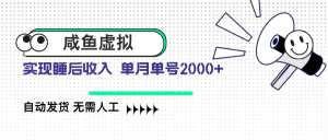 咸鱼虚拟资料 自动发货 无需人工 单月单号2000+-E网资源