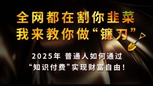 全网都在割你韭菜，我来教你做镰刀,2025普通人如何通过知识付费，实现财F自由【揭秘】-E网资源