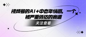 视频号的AI+中老年情感，一个被严重低估的赛道-E网资源