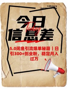 5.0闲鱼引流爆单秘籍，日引300+创业粉，稳定月入过W-E网资源