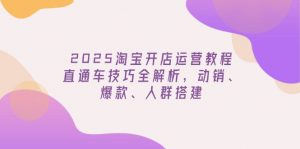 2025淘宝开店运营教程更新，直通车技巧全解析，动销、爆款、人群搭建-E网资源