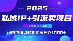 私域IP+引流卖项目，小白也可以做到轻松宅家日入1000+-E网资源