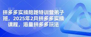 拼多多实操陪跑特训营弟子班，2025年2月拼多多实操课程，海量拼多多玩法-E网资源