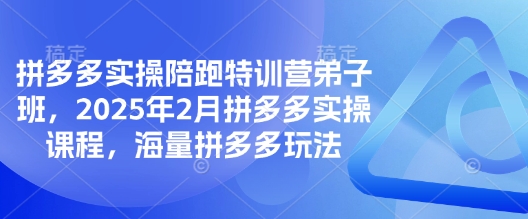 拼多多实操陪跑特训营弟子班，2025年2月拼多多实操课程，海量拼多多玩法-E网资源