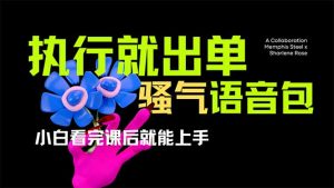 爆火全网的开车导航骚气语音包,只要执行就出单，小白看完课程就能实操...-E网资源