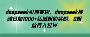 deepseek引流变现，deepseek被动日加1000+私域粉的实战，0粉丝月入过W-E网资源