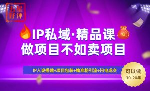 2025年“IP私域·密训精品课”，日赚3000+小白避坑年赚百万，暴力引流...-E网资源