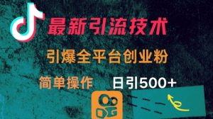 最新引流方法，引爆全平台的一个创业粉，简单操作日引300+-E网资源