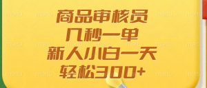 商品审核员，几秒一单，多劳多得，新人小白一天轻松300+-E网资源