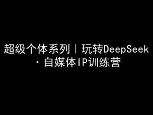 超级个体系列，玩转DeepSeek·自媒体IP训练营，deepseek教程-E网资源