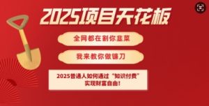 2025项目天花板普通人如何通过知识付费，实现财F自由【揭秘】-E网资源