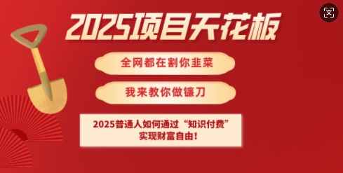 2025项目天花板普通人如何通过知识付费，实现财F自由【揭秘】-E网资源
