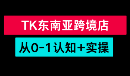 TikTok东南亚跨境从0-1认知实操课-E网资源
