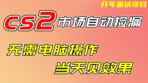 CS2市场挂机项，无需电脑操作，无需进入游戏，当天见效果，支持任何形式验证-E网资源