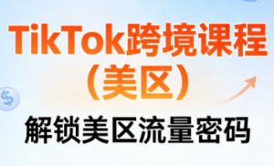 TikTok跨境课程(美区)-E网资源