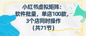 小红书虚拟矩阵：软件批量发笔记，单店100款，3个店同时操作(共71节)-E网资源