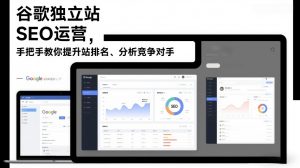 谷歌独立站SEO运营，手把手教你提升网站排名、分析竞争对手(更新2026)-E网资源