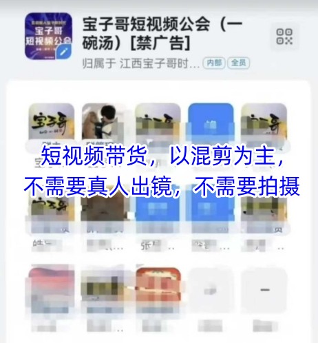 宝子哥头部团队短视频带货，以混剪为主，不需要真人出镜，不需要拍摄【更新26年1月】-E网资源