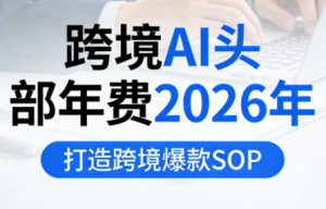 跨境AI头部年费2026年，打造跨境爆款SOP-E网资源