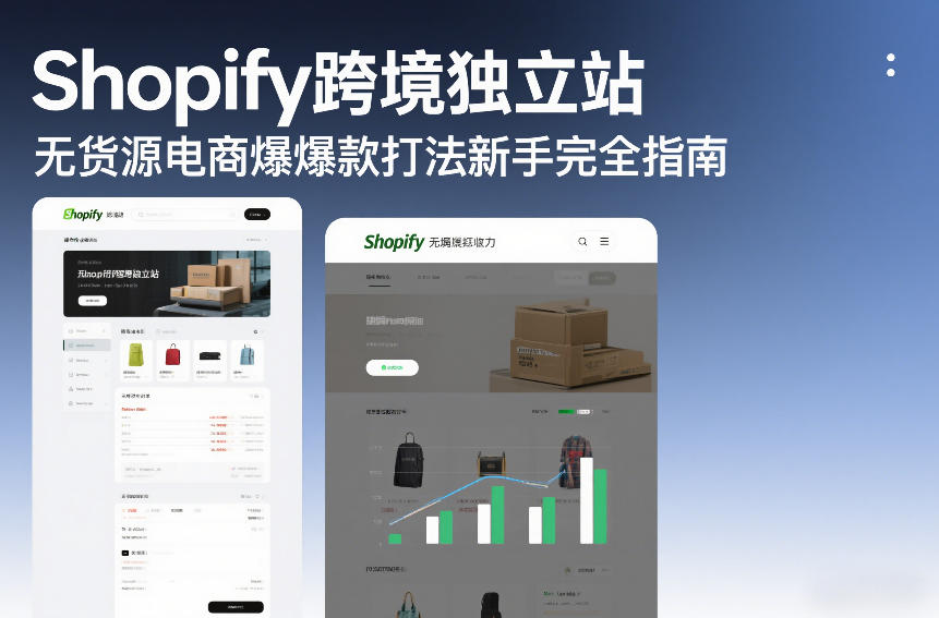 Shopify跨境独立站无货源电商爆款打法新手完全指南-E网资源