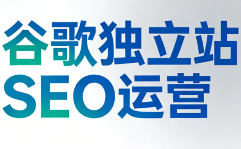 谷歌独立站SEO运营(更新2026)-E网资源