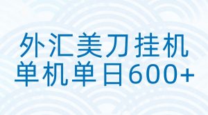 外汇美刀挂机：全自动挂机赚美金，单机600+-E网资源