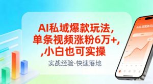 AI私域爆款玩法，单条视频涨粉6W+，小白也可实操-E网资源