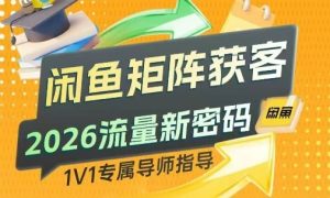 闲鱼矩阵获客，2026流量新密码，只要闲鱼还在，你的行业就有无限精准的客源-E网资源