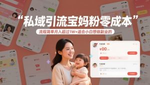 私域引流宝妈粉零成本流程简单月入超过1W+适合小白想做副业的-E网资源