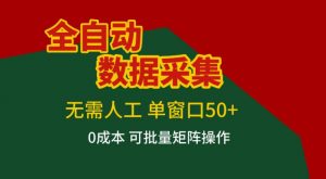 全自动数据采集，无需人工，单窗口50+，0成本可批量矩阵操作【揭秘】-E网资源