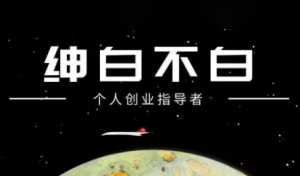 绅白不白·小红书虚拟店铺，IP打法+原创商品(更新2026)-E网资源