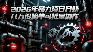 2026年暴力项目月赚几万很简单可批量操作，成本低，利润大-E网资源