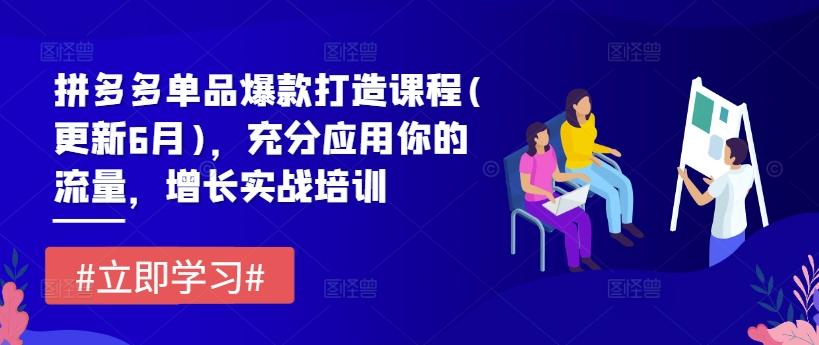 拼多多单品爆款打造课程(更新6月)，充分应用你的流量，增长实战培训-E网资源